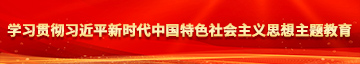 日逼视频爽学习贯彻习近平新时代中国特色社会主义思想主题教育